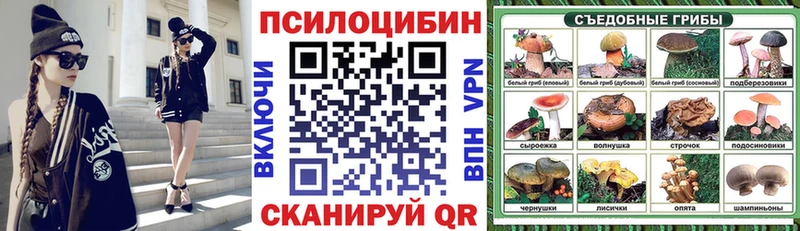 Галлюциногенные грибы Psilocybe  закладки  блэк спрут tor  Лихославль 